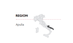 Emporium Negroamaro Primitivo Puglia IGT - Billede 2