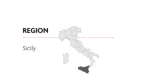 Lignum Vitis Frappato Shiraz Terre Siciliane 2024 - Billede 2