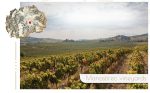 Tikves Winery T'ga za Jug 2023 - Billede 2